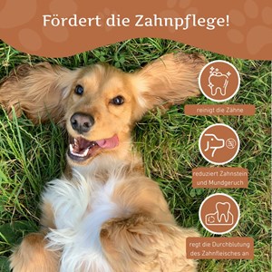 Wildfang racine à mâcher en bois de café pour chiens 100% naturelle