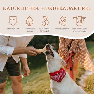 Wildfang os en cuir naturel pour chien — hygiène dentaire et anti-stress