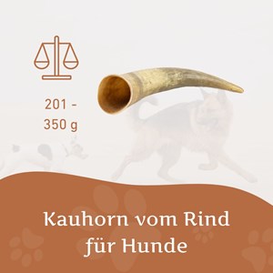 Corne de bœuf naturelle wildfang pour chiens 30 kg et plus