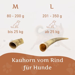 Corne de bœuf naturelle wildfang pour chiens 30 kg et plus