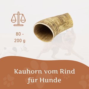 Corne de bœuf naturelle wildfang pour chiens 30 kg et plus