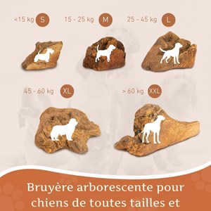 Wildfang - mâcher des racines de bruyère arborescente - 3 x s
