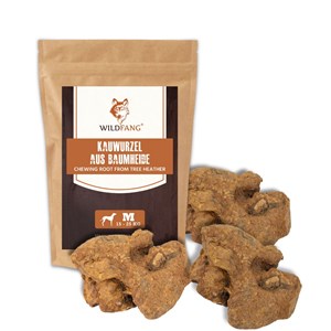 Wildfang - mâcher des racines de bruyère arborescente - 3 x m