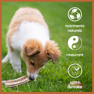 Wildfang - bois de cerf sauvage à l'huile de saumon – s – pour chiens <10 kg