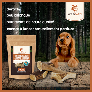 Wildfang - bois de cerf sauvage à l'huile de saumon - l - pour chiens > 25 kg
