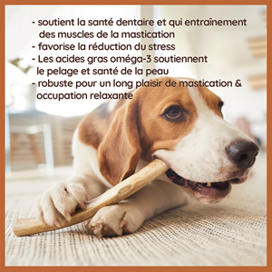 Wildfang - bois de cerf sauvage à l'huile de saumon - l - pour chiens > 25 kg