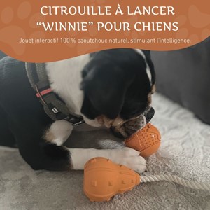 Wildfang — jouet à mâcher lancer de citrouille winnie - 100% caoutchouc naturel