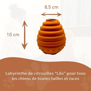 Wildfang—jouet à mâcher labyrinthe de citrouilles lilo-100% caoutchouc naturel