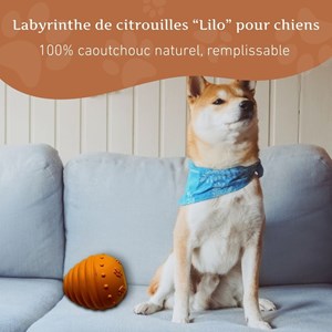 Wildfang—jouet à mâcher labyrinthe de citrouilles lilo-100% caoutchouc naturel