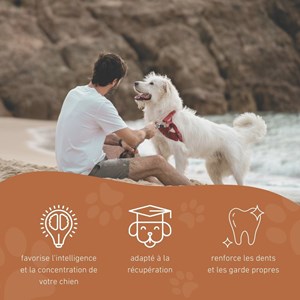 Wildfang - kotieletie flying rocket « rocket » - caoutchouc 100% naturel