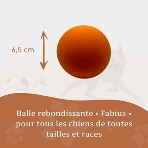 Wildfang - balle rebondissante « fabius » – 100 % caoutchouc naturel