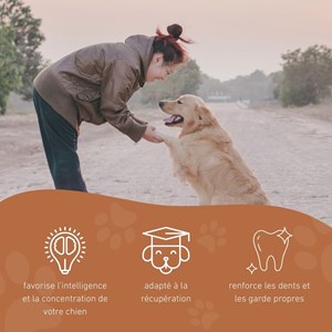 Wildfang - balle rebondissante « fabius » – 100 % caoutchouc naturel