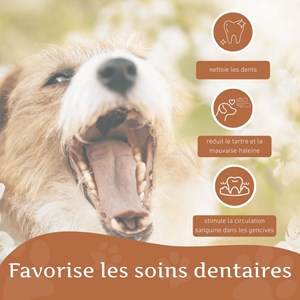 Wildfang anneau à mâcher robin en caoutchouc naturel