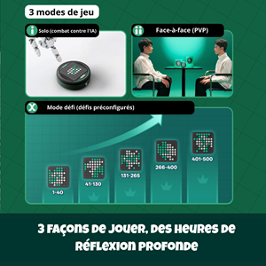 Giiker super reversi