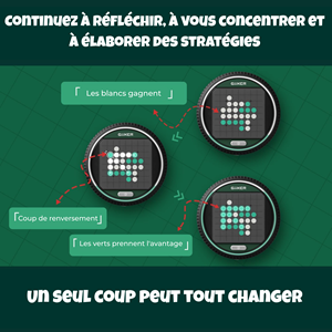 Giiker super reversi