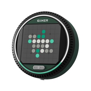 Giiker super reversi