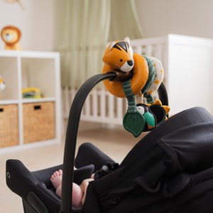 Spirale d'activités jungle