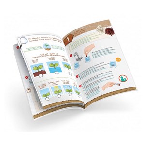 Petites pousses - 100% made in france