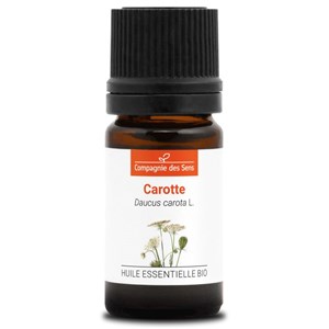 Carotte semences - huile essentielle bio - 5ml garantie chromacert® - chémotypée