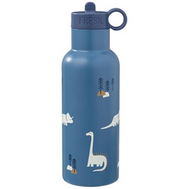 Gourde isotherme nordic dino (500 ml)