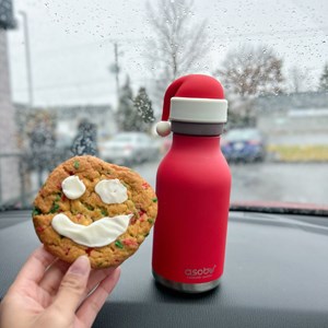 Gourde isotherme bestie père noël (460 ml)