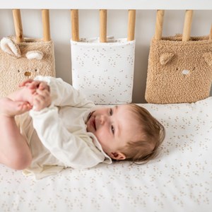 Lot de 6 protège barreaux teddy