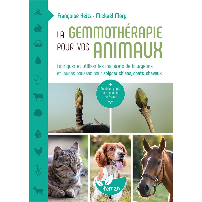 La gemmothérapie pour vos animaux