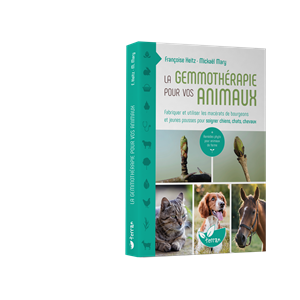 La gemmothérapie pour vos animaux