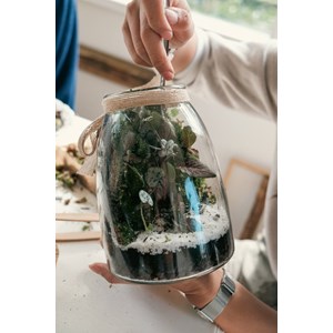 Kit terrarium vertical plante diy