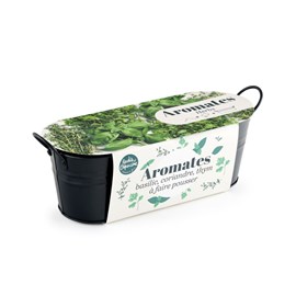 Jardinière zinc noir 30 cm - aromates