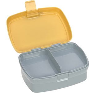 Set lunch box about friends lion