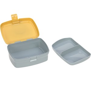 Set lunch box about friends lion