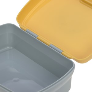 Set lunch box about friends lion