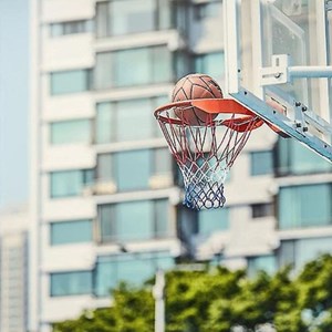 Panier de basket  bumber