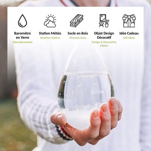 Baromètre fitzroy en verre et bois - prévisions météo déco