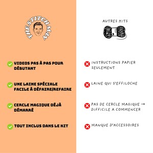 Minoushka le chat - kit crochet débutant avec vidéos - accessible à tous