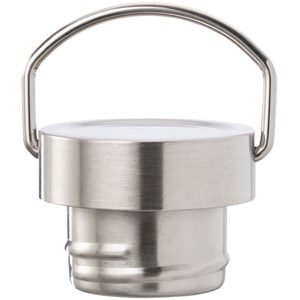 Gourde isotherme dino (350 ml)