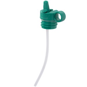 Gourde isotherme dino (350 ml)