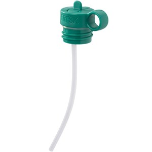 Gourde isotherme dino (350 ml)