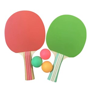 Table ping-pong mini 1500 pliable bleue