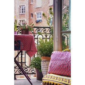 Grevillea 'mount tamboritha' taille du p