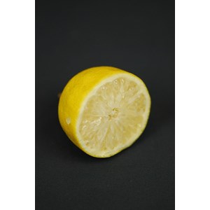 Citronnier des 4 saisons taille du pot -