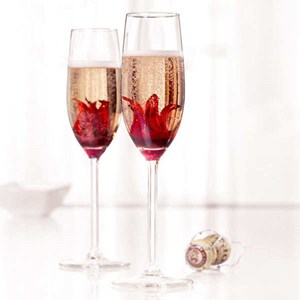 Fleurs d'hibiscus au sirop wild hibiscus