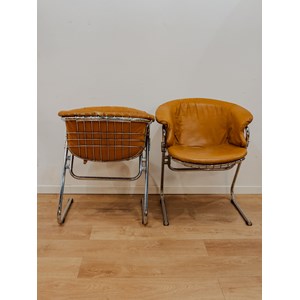 Lot de 6 fauteuils flynn de gastone rinaldi n°851