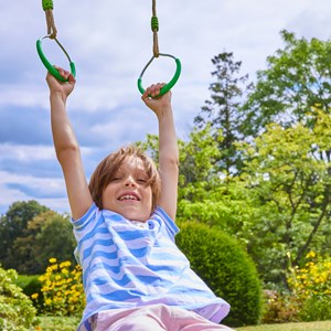 Anneaux pour portique