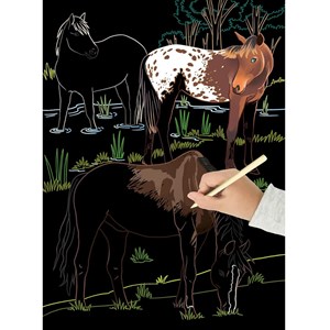 Cartes à gratter les chevaux