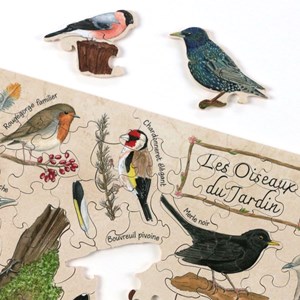 Les oiseaux du jardin de fauvine