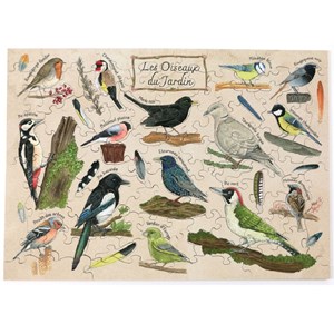 Les oiseaux du jardin de fauvine