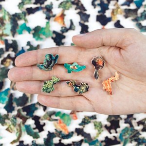 Les hasards heureux de fragonard