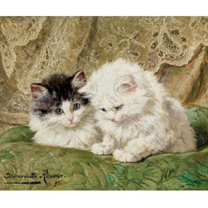 Deux chatons de ronner-knip